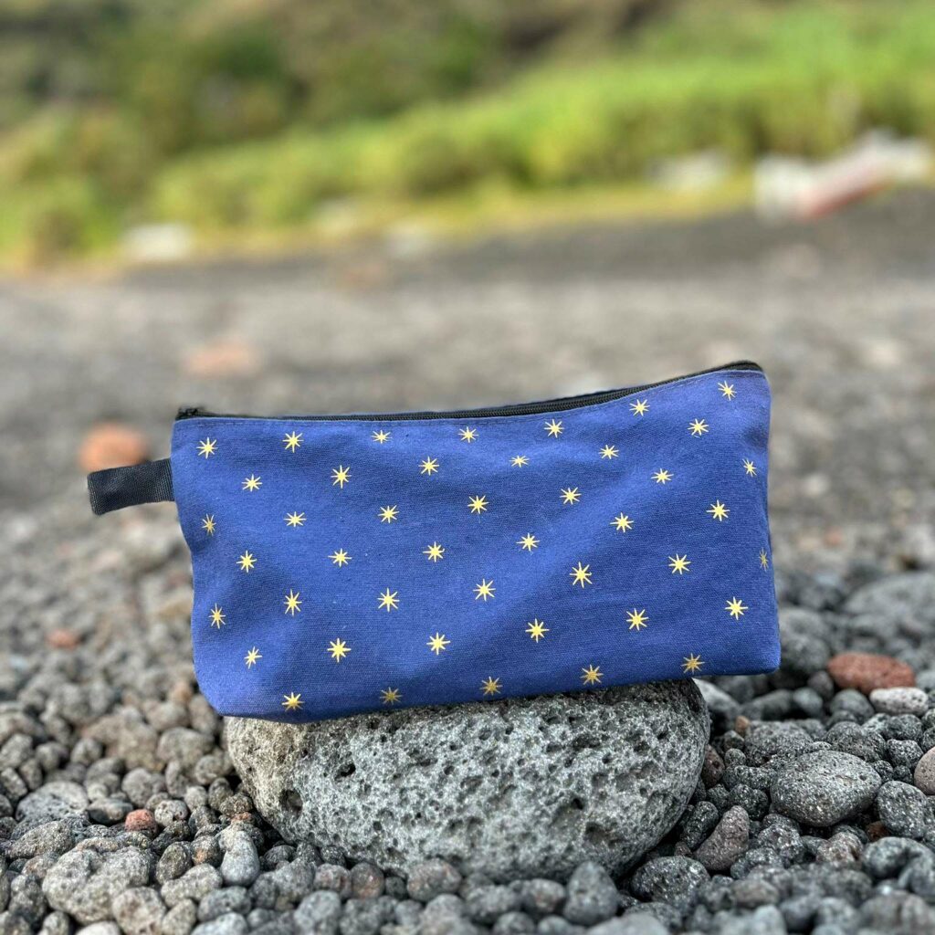Astuccio porta matite astuccio portapenne in cotone, organic cotton pencil case, beauty purse for art lovers idea regalo per appassionati amanti di storia dell'arte, arte medievale italiana Giotto arte classica cielo stellato volta stellata Padova Cappella degli Scrovegni 